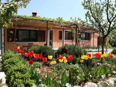 Ferienhaus für 6 Personen (100 m²) in Tinjan 9/10