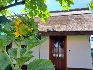 Ferienhaus für 4 Personen (40 m&sup2;) in Tiszafüred