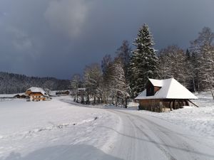 Salenhof im Winter
