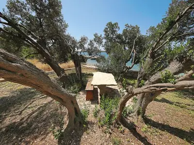 Ferienhaus für 5 Personen in Tkon 7/10