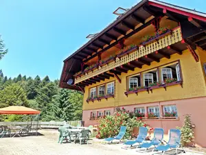 Ferienhaus für 17 Personen (352 m²) in Todtmoos