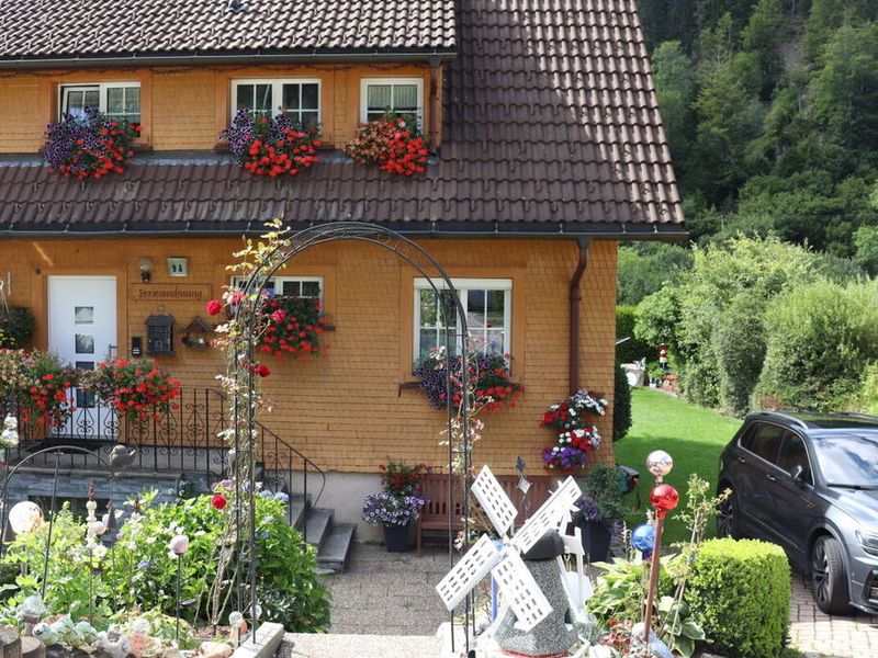 23975156-Ferienhaus-4-Todtnau-800x600-1