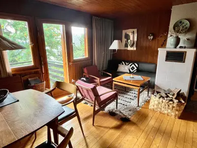 Ferienhaus für 4 Personen (60 m²) in Todtnau 7/10