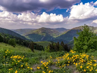 Ferienhaus für 7 Personen (120 m²) in Todtnau 3/10