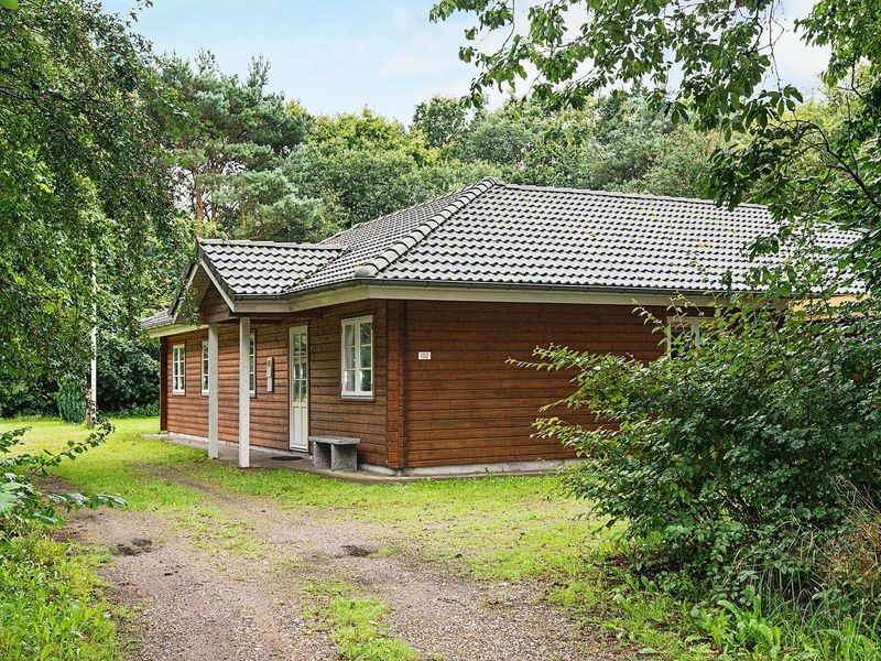 21967013-Ferienhaus-8-Toftlund-800x600-1