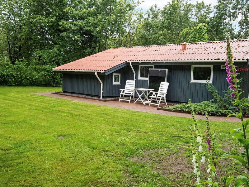 21967861-Ferienhaus-5-Toftlund-800x600-1