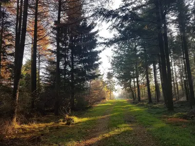 Outdoor