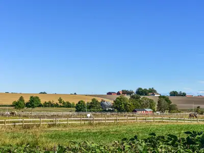 view-from-room