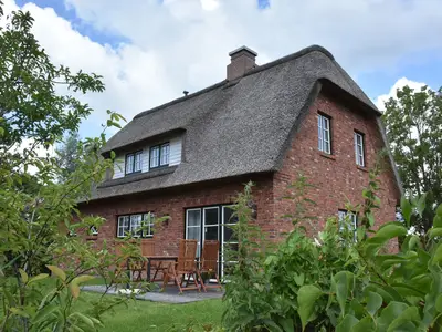 Ferienhaus für 4 Personen (100 m²) in Tönning 3/10