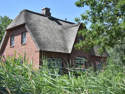 Ferienhaus für 4 Personen (100 m²) in Tönning 8/10