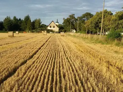 Ferienhaus für 6 Personen (108 m²) in Torgau 3/10