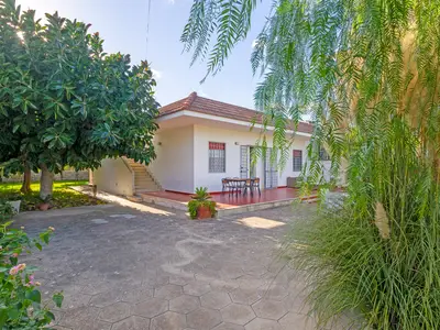 house house