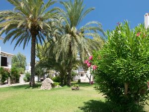 Ferienhaus für 4 Personen (40 m²) in Torrevieja