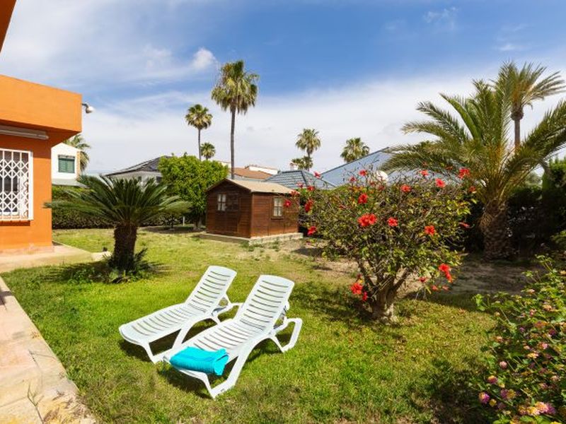 24044672-Ferienhaus-9-Torrevieja-800x600-0