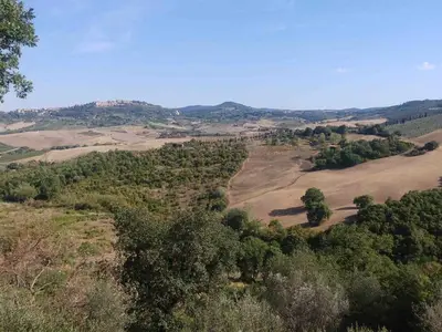 Blick auf das Montepulciano-Tal
