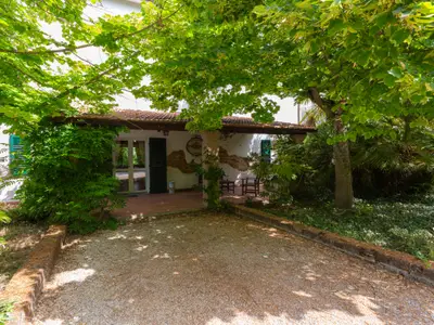exterior exterior