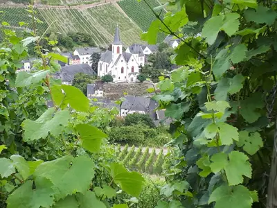 Ferienhaus für 8 Personen (120 m²) in Traben-Trarbach 2/10