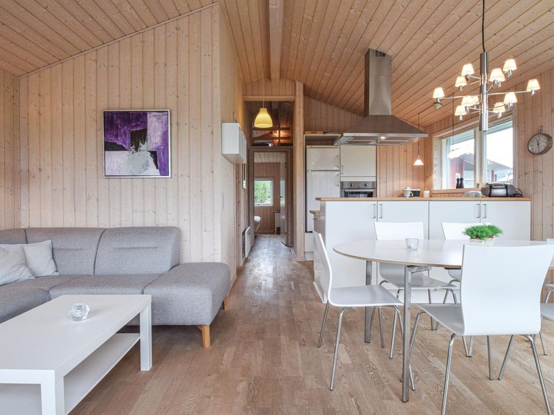 23728985-Ferienhaus-6-Tranekær-800x600-2