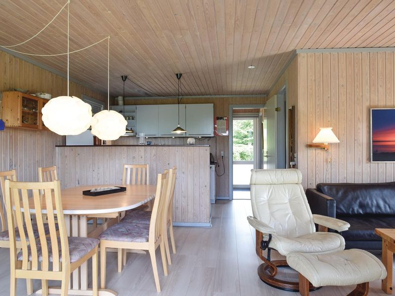 23729706-Ferienhaus-6-Tranekær-800x600-1