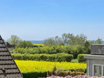 view-from-room