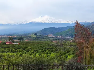 view-from-room