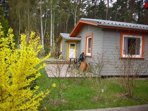 Ferienhaus für 8 Personen (55 m²) in Trassenheide (Ostseebad)