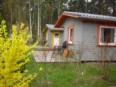 Ferienhaus für 8 Personen (55 m²) in Trassenheide (Ostseebad) 5/5
