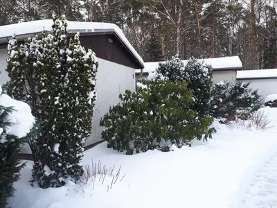 Ferienhaus für 4 Personen (45 m²) in Trassenheide (Ostseebad) 4/7