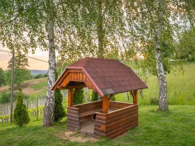 Ferienhaus für 3 Personen (50 m²) in Trebelno 2/10