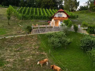 Ferienhaus für 3 Personen (50 m²) in Trebelno 3/10