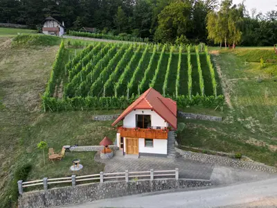 Ferienhaus für 3 Personen (50 m²) in Trebelno 4/10