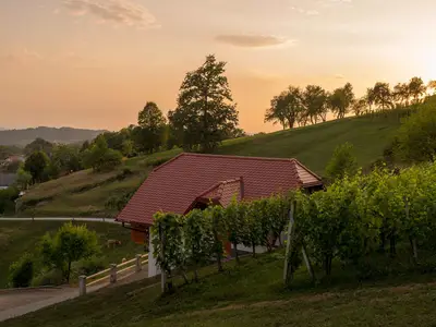 Ferienhaus für 3 Personen (50 m²) in Trebelno 7/10