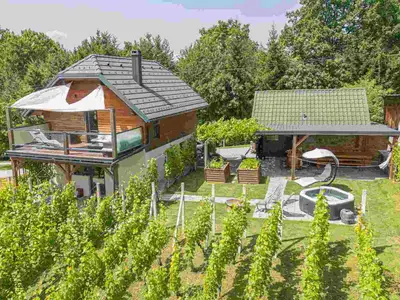 Ferienhaus für 4 Personen (65 m²) in Trebnje 8/10