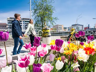 00000070202_Villach-im-Fruehling-2_Region-Villach-