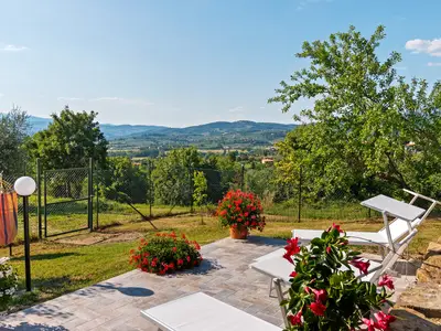 ViewSummer