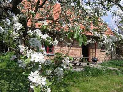 Ferienhaus für 5 Personen (100 m²) in Tressow 2/10