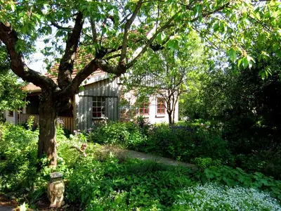 Ferienhaus für 5 Personen (100 m²) in Tressow 8/10