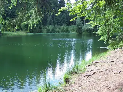 AreaSummer20KM