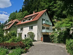 Ferienhaus für 9 Personen ab 90 € in Triberg