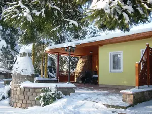 Ferienhaus für 3 Personen (48 m²) in Trieb/Vogtland