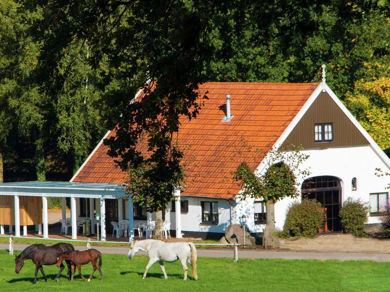 19354494-Ferienhaus-2-Tubbergen-800x600-2