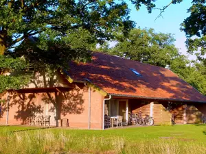 Ferienhaus für 6 Personen (80 m²) in Geesteren