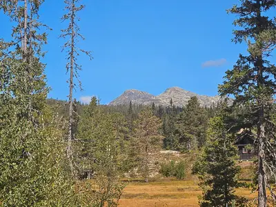 view-from-room