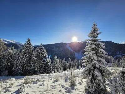 Winterlandschaft