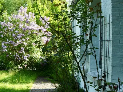 Ferienhaus für 7 Personen (94 m²) in Twedt 4/10