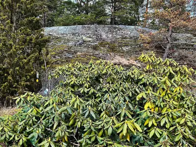 Outdoor