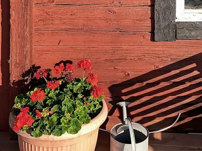 Outdoor