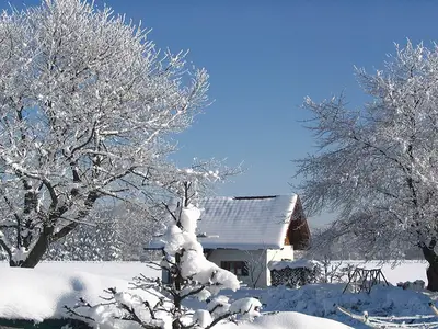 ExteriorWinter