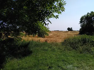 Ferienhaus für 2 Personen (13 m²) in Uckerland 3/8