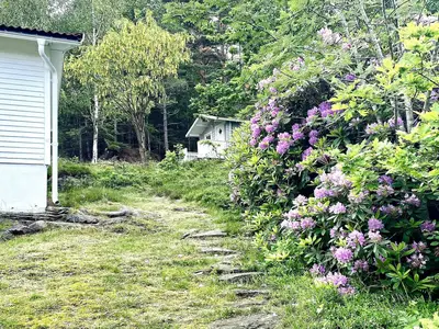 Outdoor